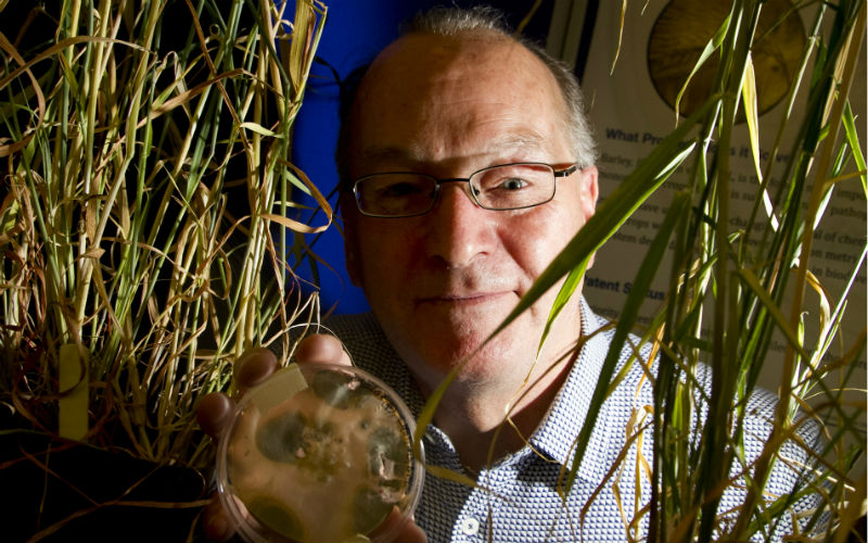 Brian Murphy, PhD student, Botany, School of Natural Sciences