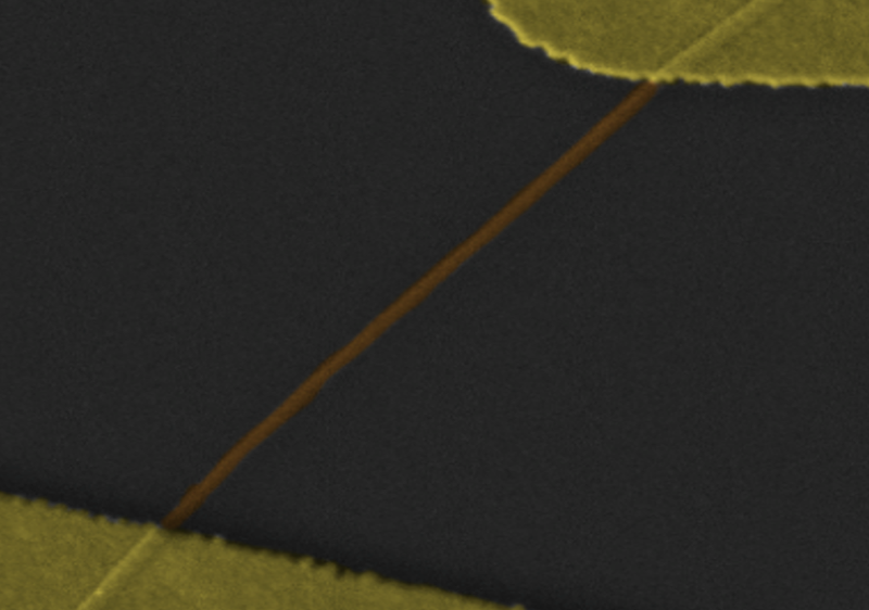 A titanium oxide nanowire acts as both a diode and a memristor