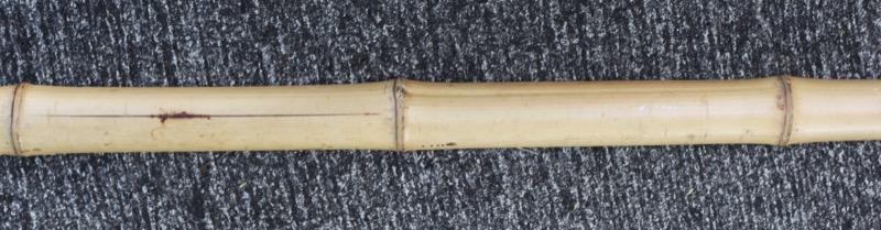 A length of bamboo 'culm', with some fatigue cracks running along it.