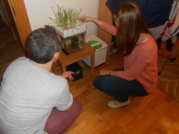 Researcher engagement in the Eating HomeLab alongside supplied grow-your-own and electronic composting devices.