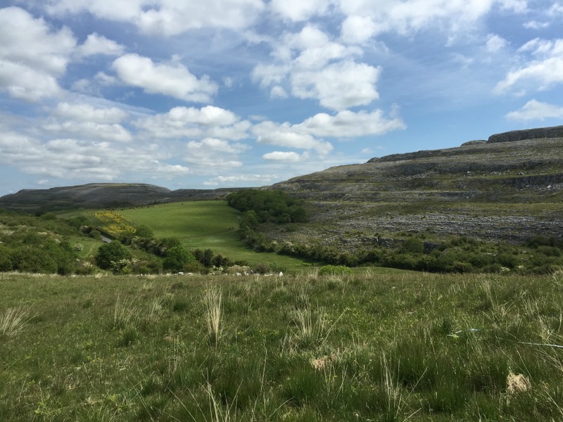 The grasslands of the Burren, Co. Clare, are Ireland’s most species-rich and ecologically valuable. Professor Buckley has recently established a monitoring site at this location.