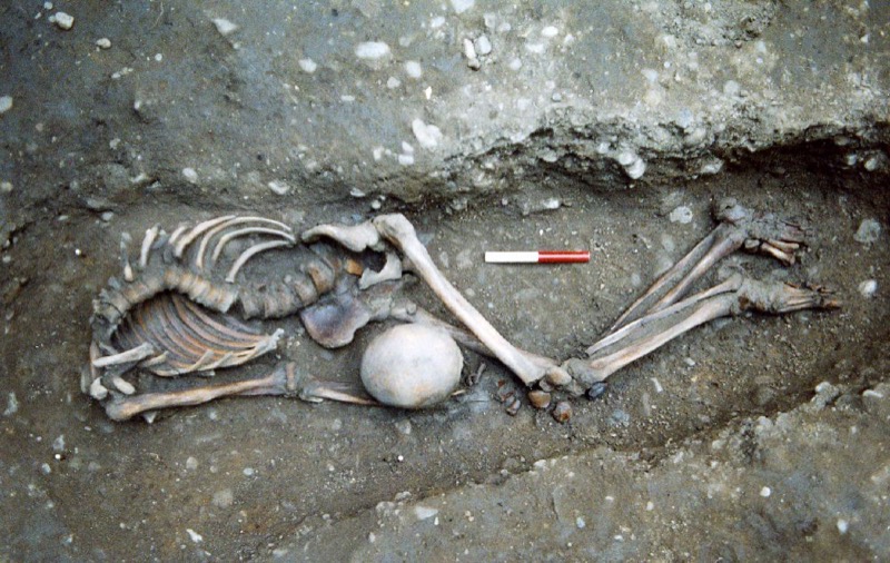 One  of  the  skeletons  excavated  by  York  Archaeological  Trust  at  Driffield  Terrace. Image Credit: York Archaeological Trust.