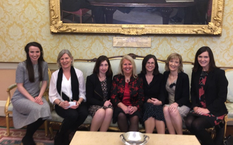 Pictured left to right: Professors Arlene O'Neill, Cliona O'Farrelly, Sinead Ryan, Eileen Drew, Jane Stout, Siobhán Clarke, and Anna Davies. Not pictured but honoured at the ceremony was Professor Sarah McCormack.