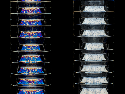 Time evolution of a foam consisting of equal volume gas bubbles confined in a cylinder. The change in the interference colours is due to the change in liquid film thickness as the foam ages. The image shows the same foam but photographed at 212 seconds and 456 seconds after its formation.