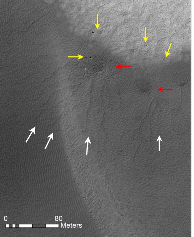 Dendritic furrows on Martian dunes (white arrows). Yellow arrows point to boulders, red arrows denote dark fans. Image credit: NASA/JPL/University of Arizona